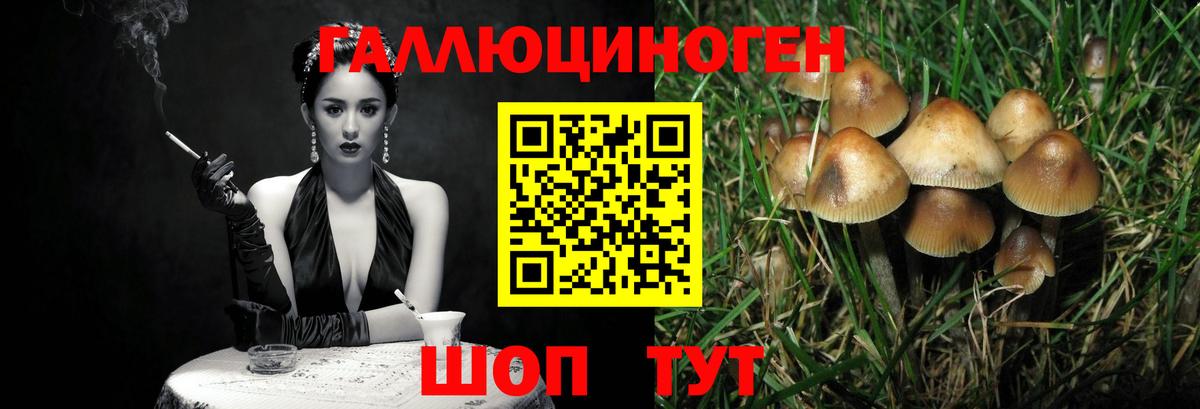 Галлюциногенные грибы мицелий  Вход с VPN  цены наркотик  Сунжа 