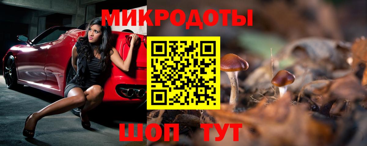 Галлюциногенные грибы прущие грибы Сунжа